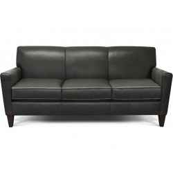 Collegedale Leather Sofa Collection