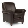 Dana Power High Leg Recliner